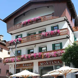 2* Отель Montana